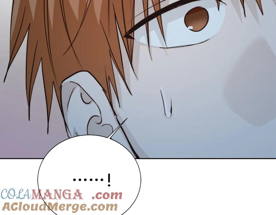 第241页