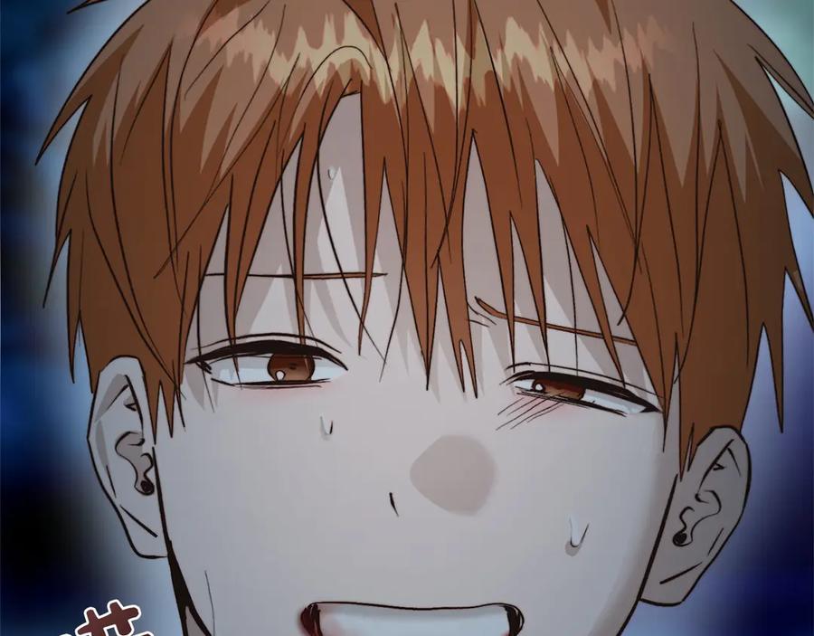 第228页