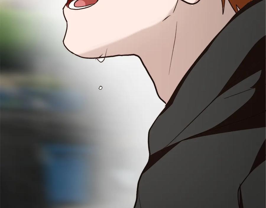 第223页