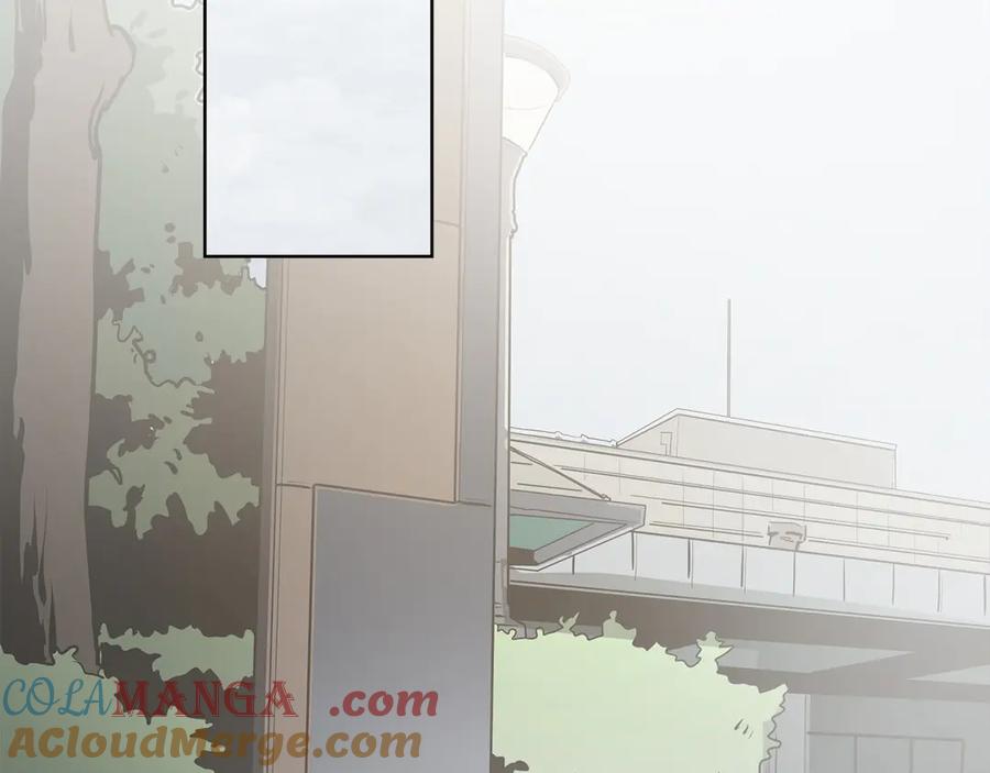 第229页