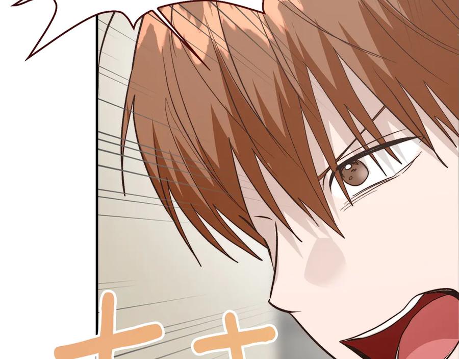 第259页