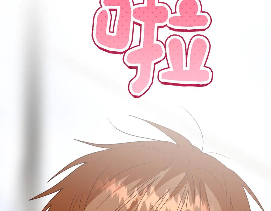 第236页