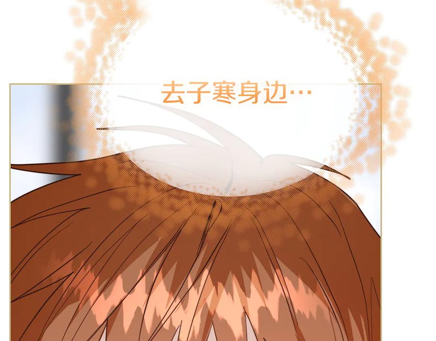 第242页