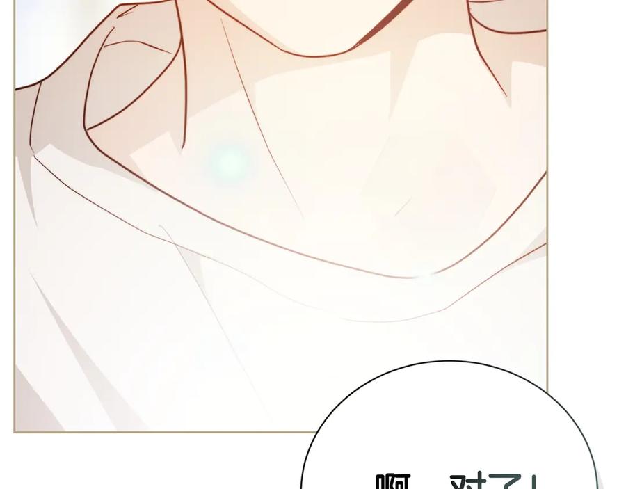 第244页