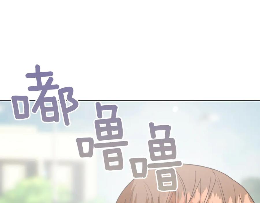 第223页