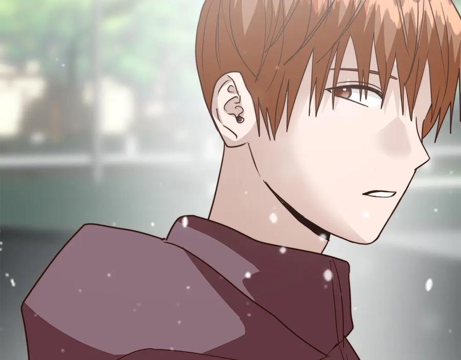 第224页