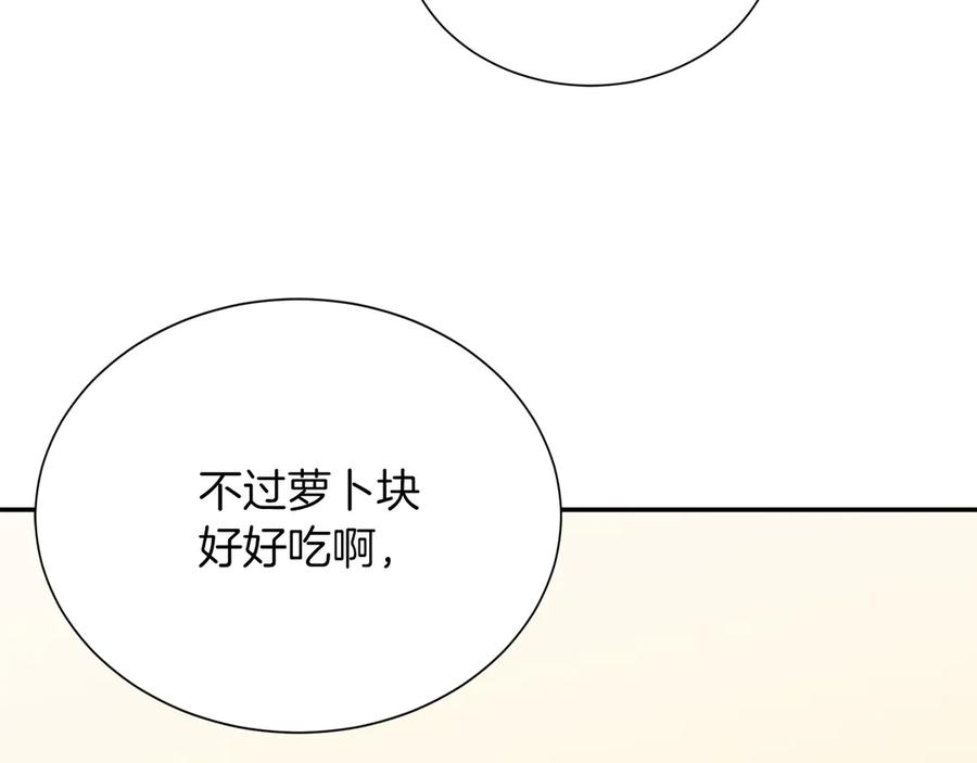 第255页