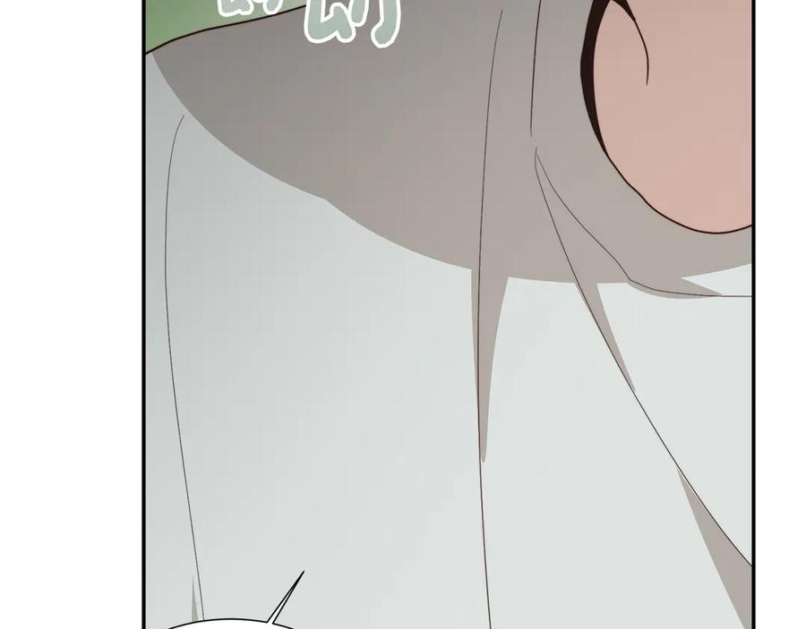 第260页