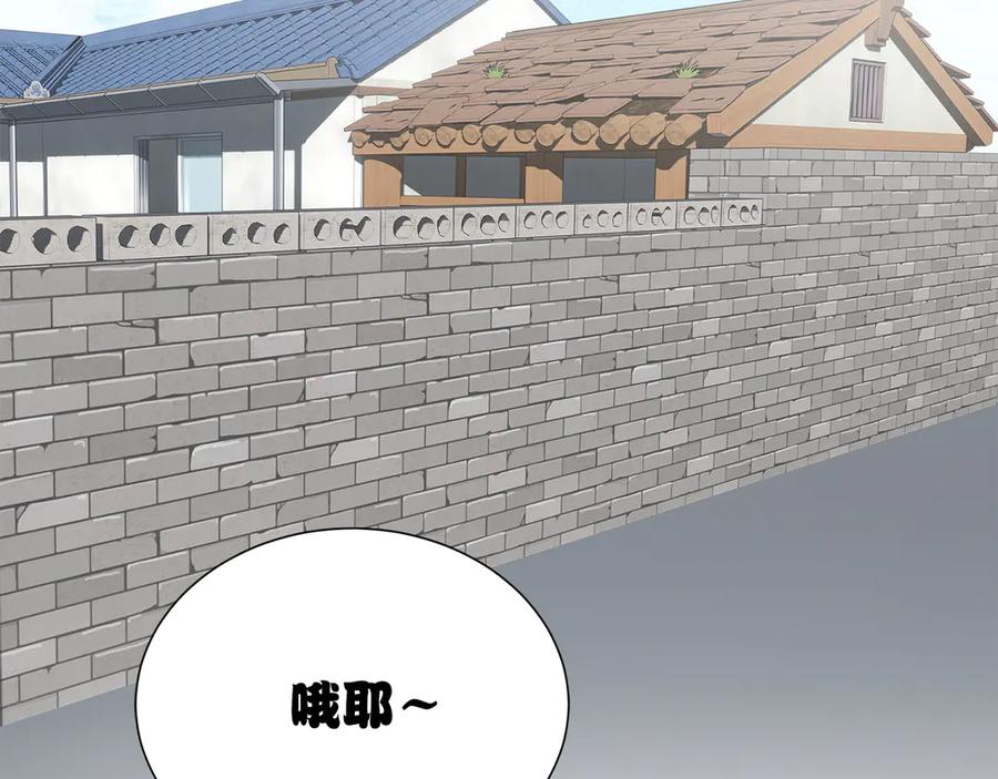 第215页