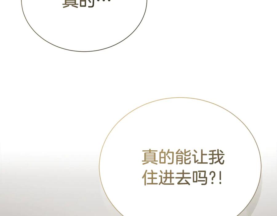 第242页