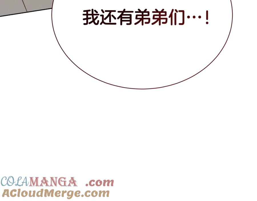 第253页