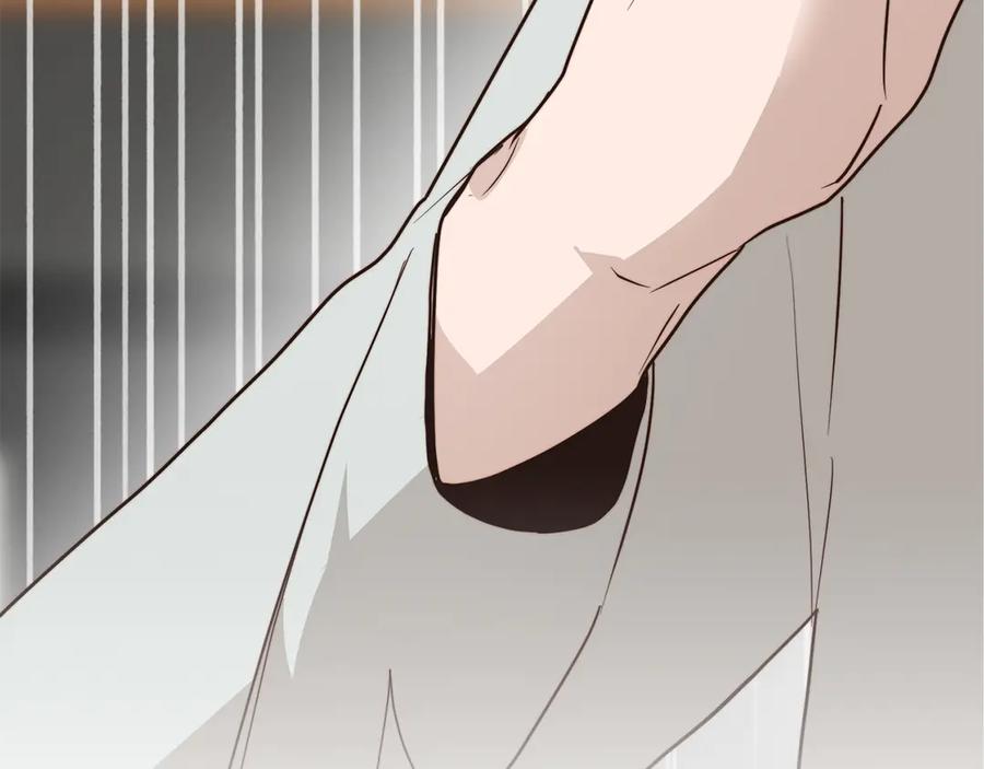 第262页
