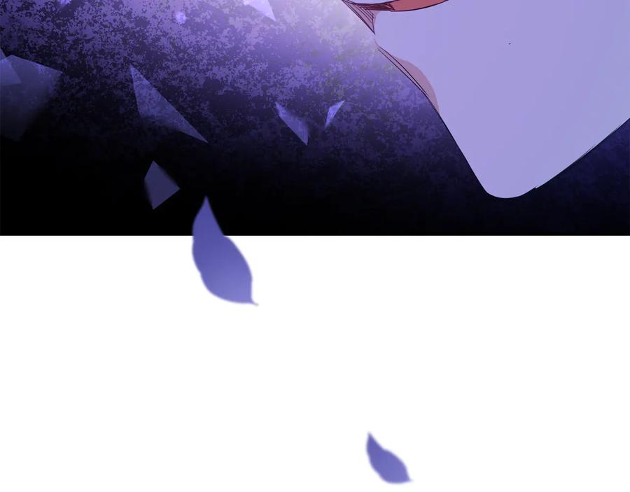 第223页