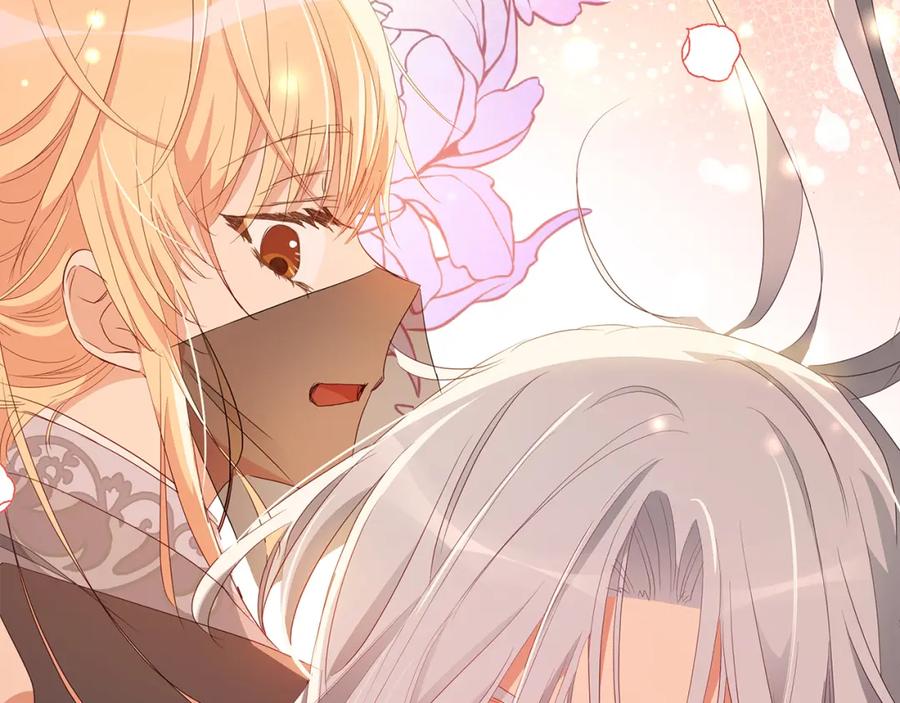第204页