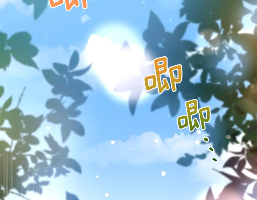 第243页