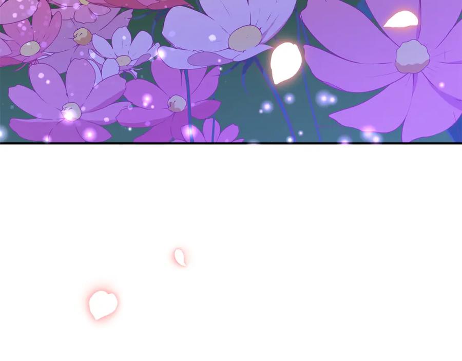 第260页