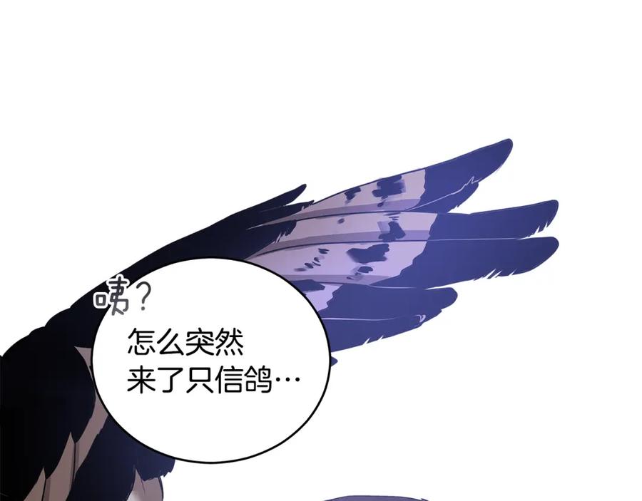 第204页