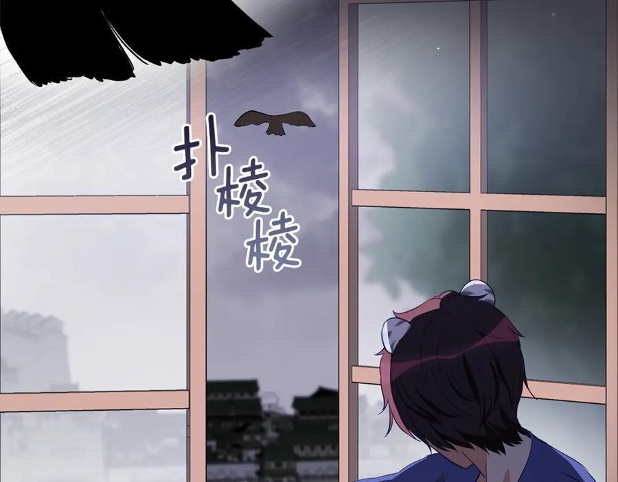 第216页