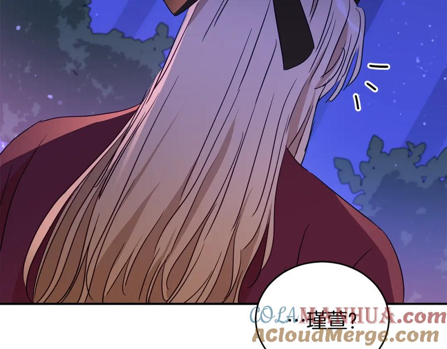 第205页