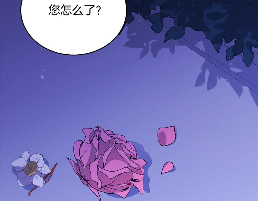 第247页