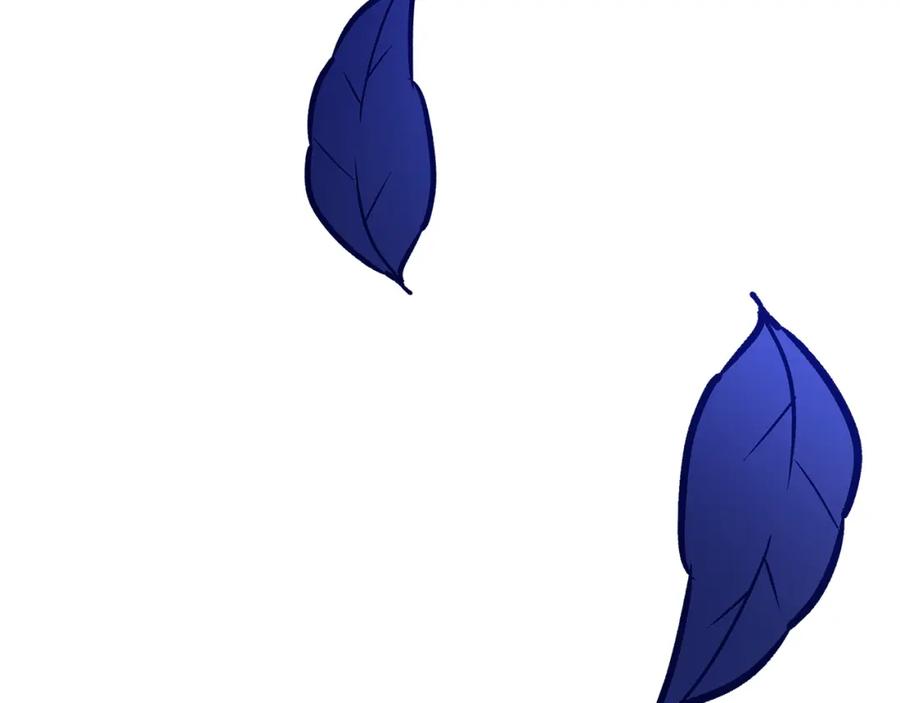 第255页