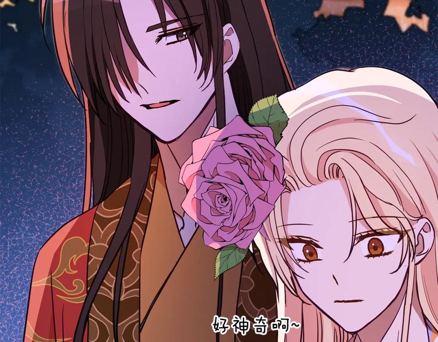 第231页