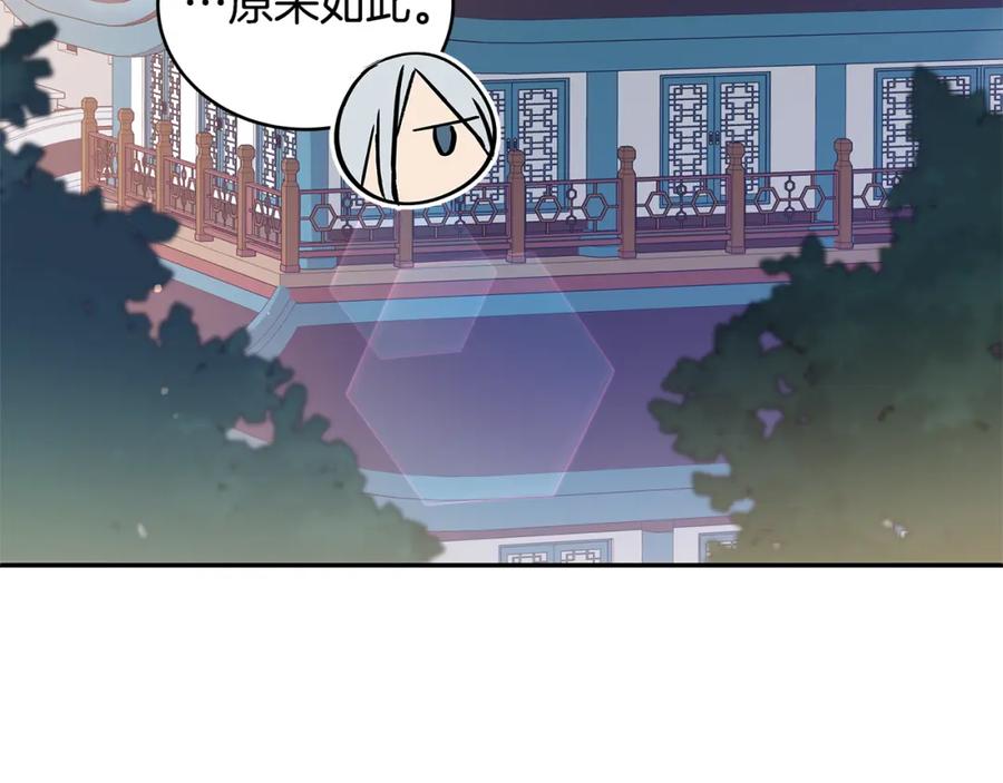 第223页