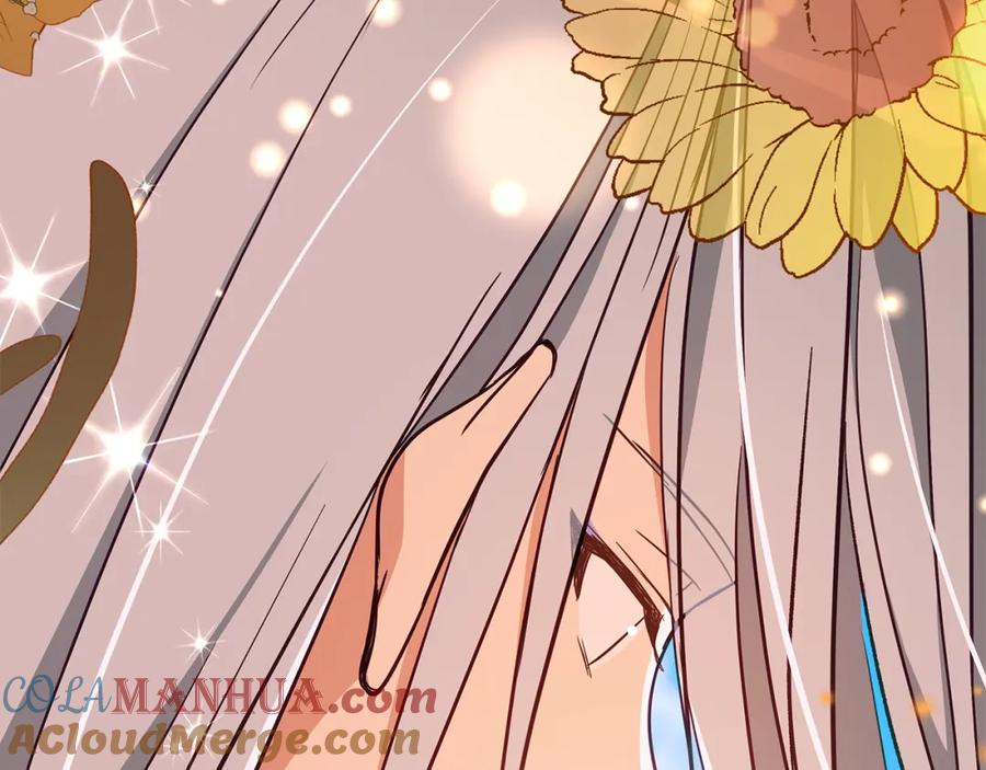 第241页