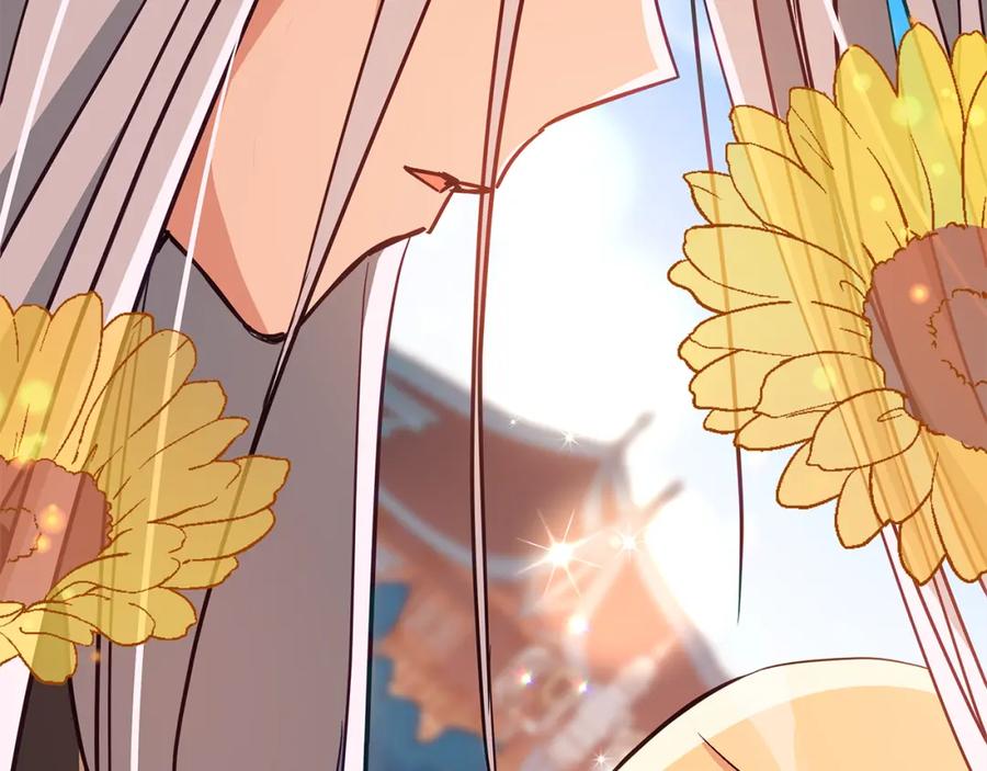 第242页