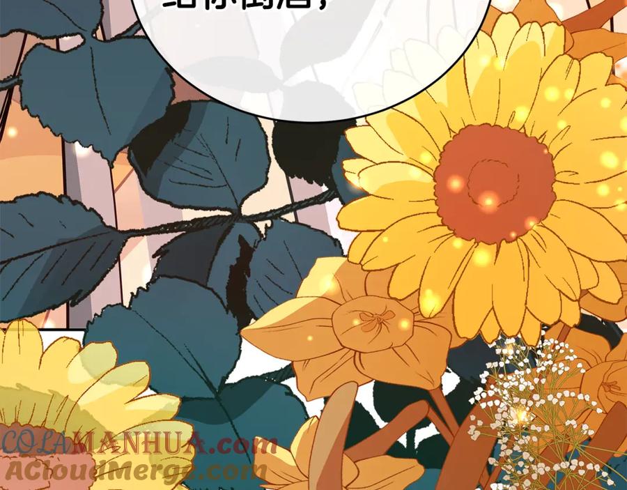 第245页