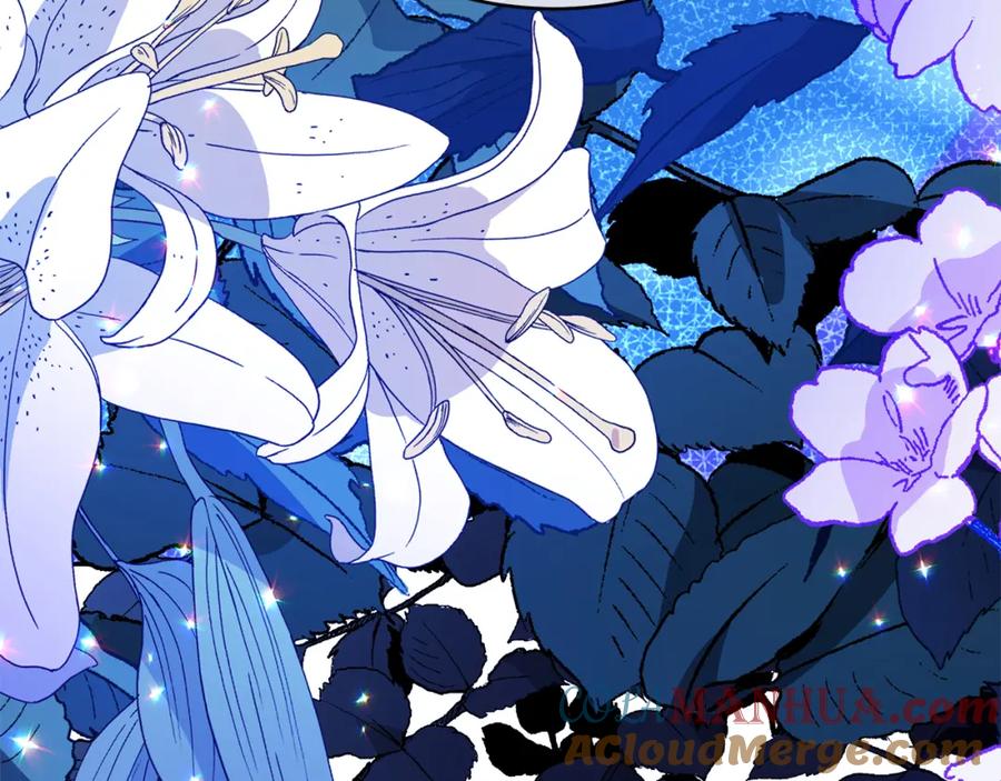 第217页