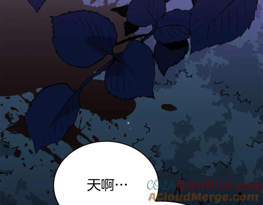 第209页