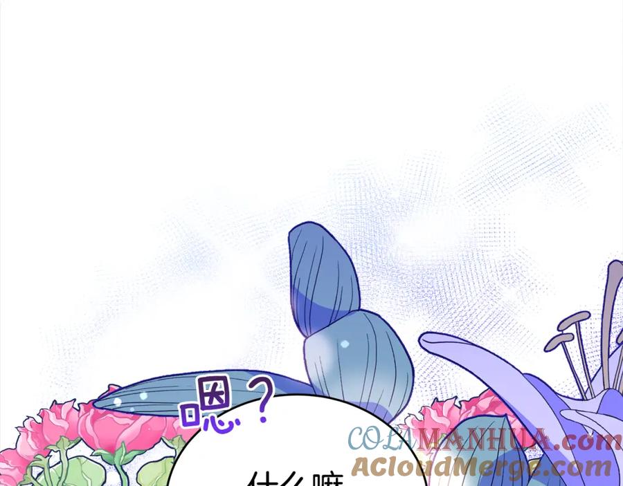 第233页