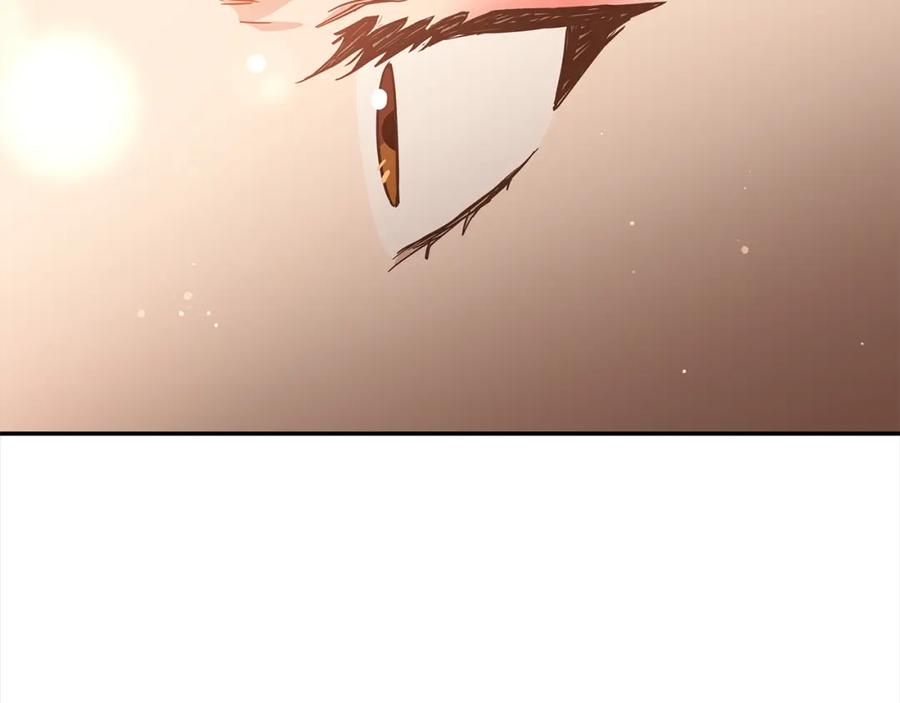 第246页