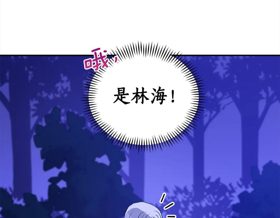 第244页
