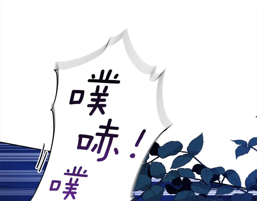 第266页