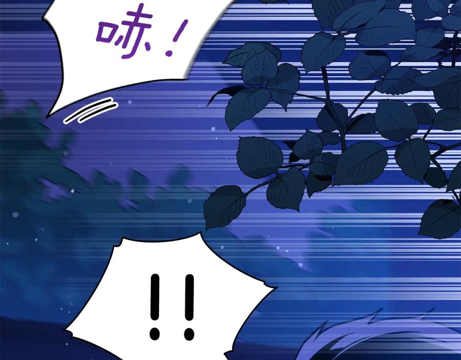 第267页