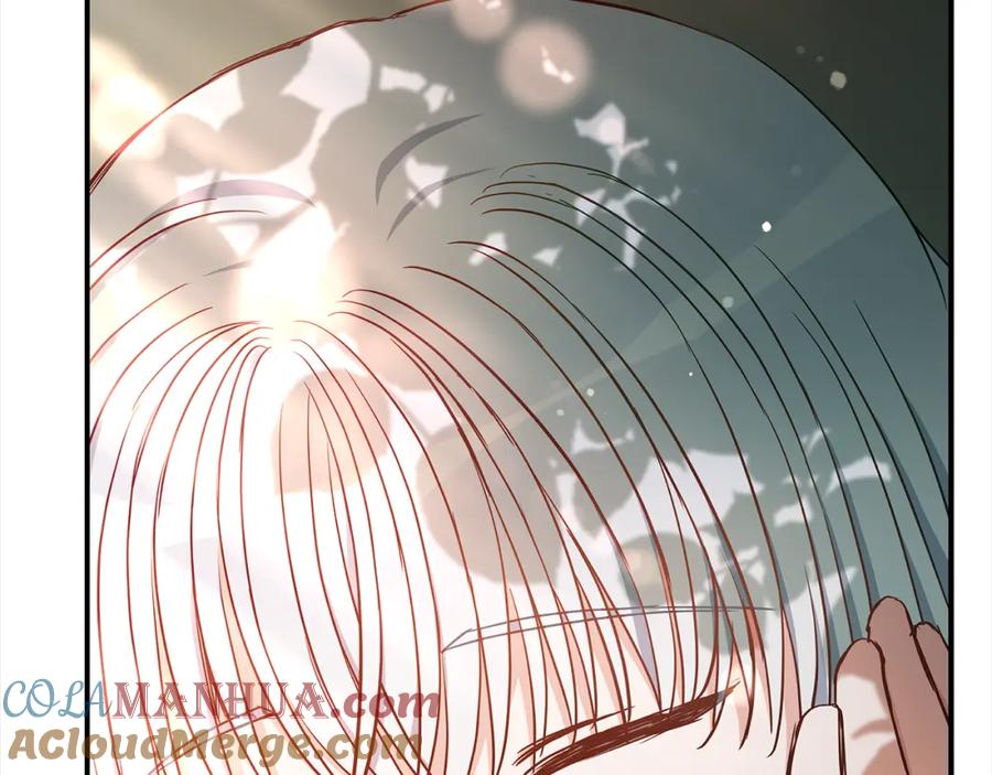 第241页