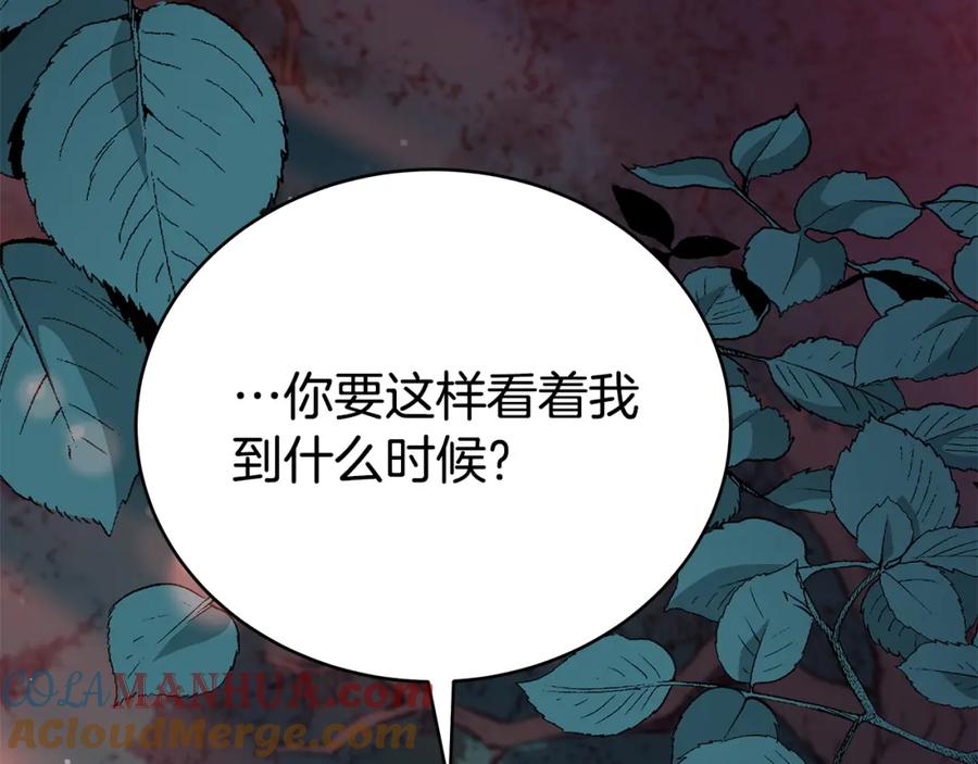 第221页