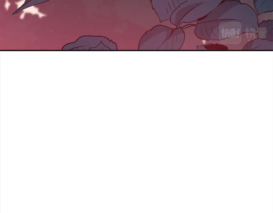 第224页