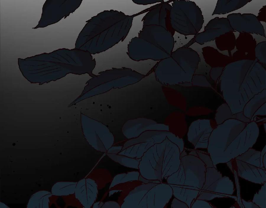第276页