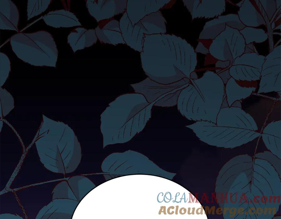 第277页