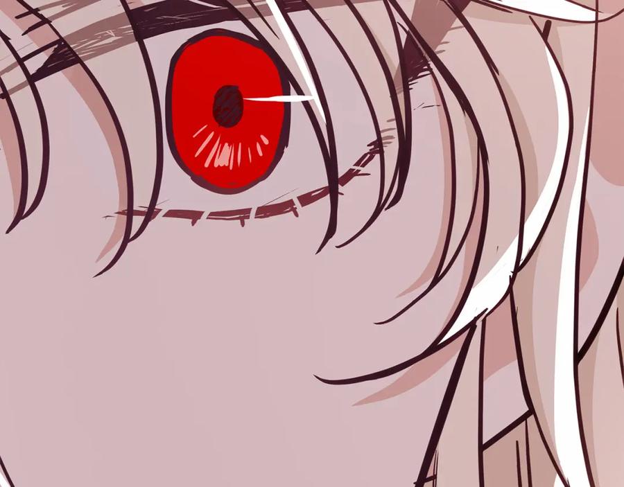 第247页