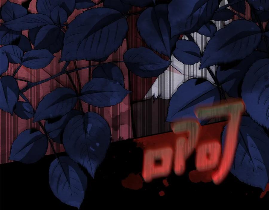 第231页