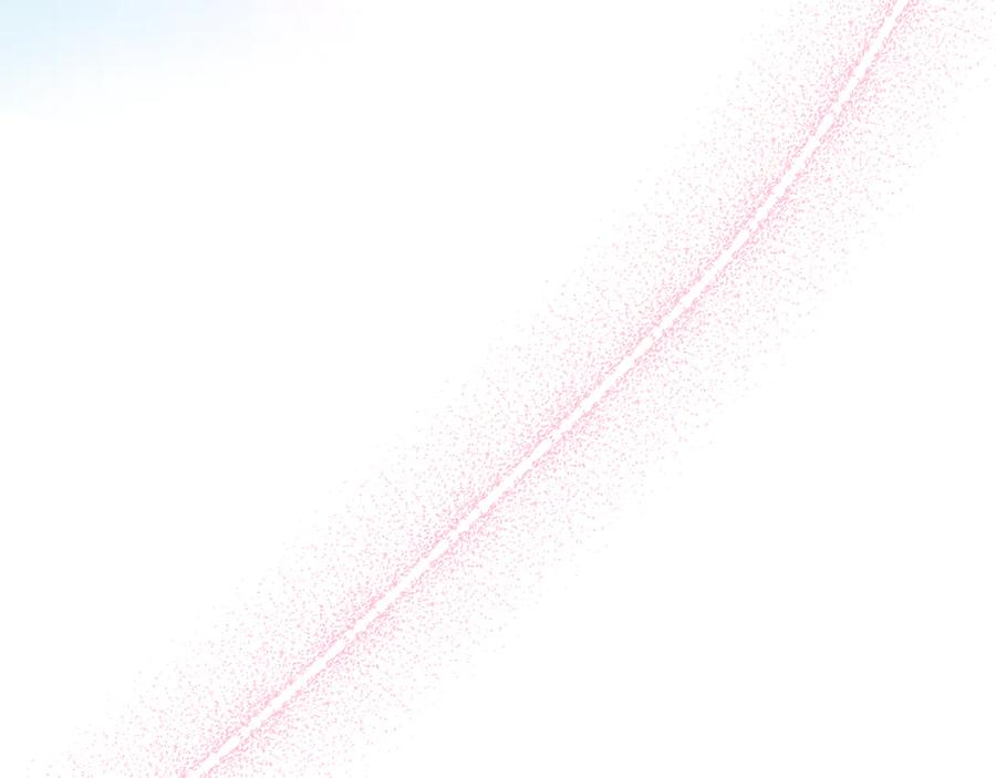 第218页