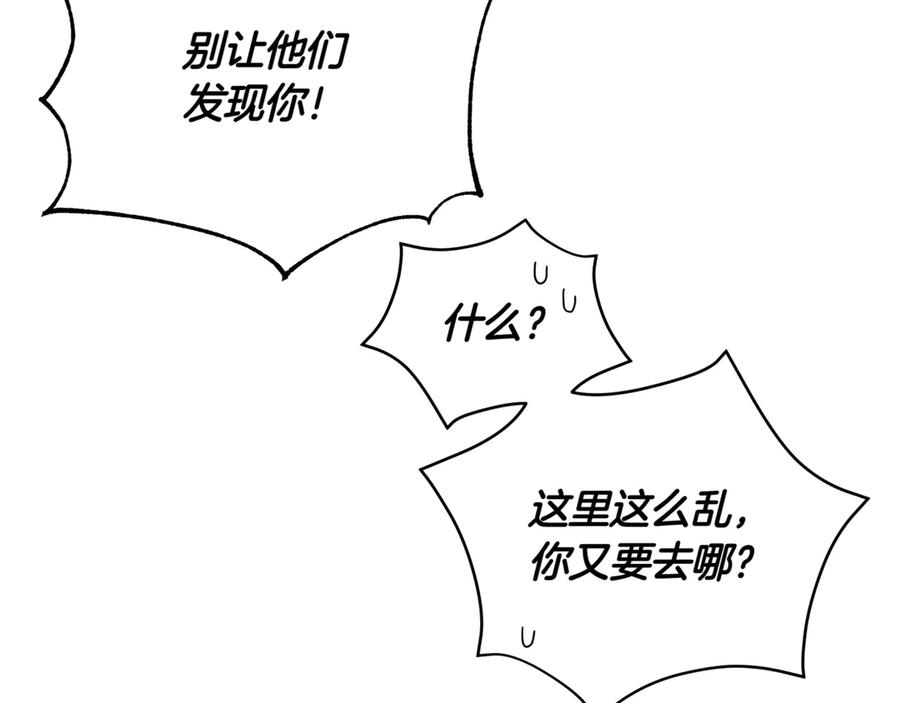 第231页