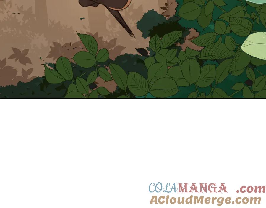第213页
