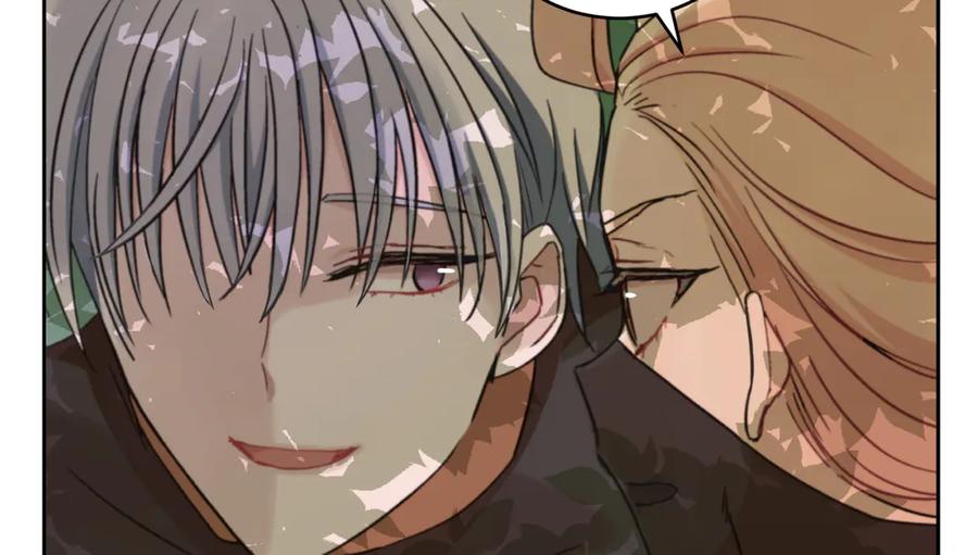第215页