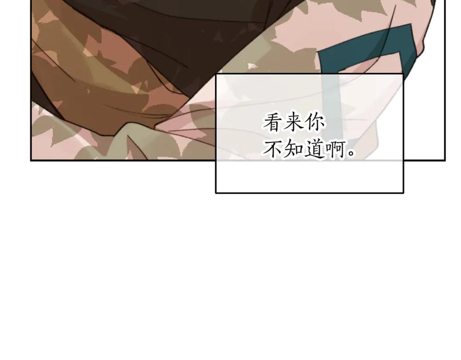 第224页