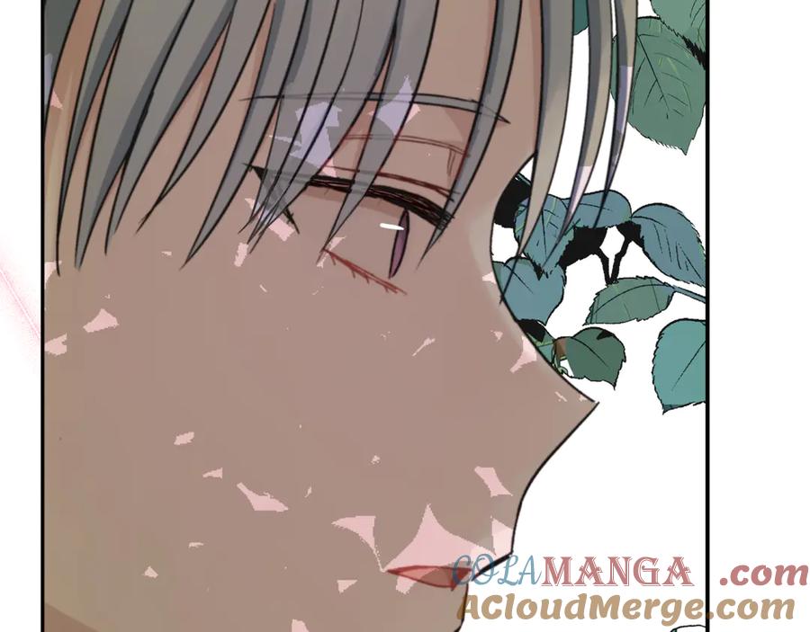 第233页